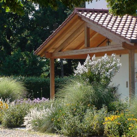 Villa Gina Zero Branco Zewnętrze zdjęcie